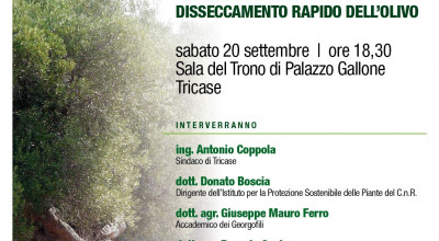 Sabato 20 settembre 2014 - ore 18.30 - Sala del Trono di Palazzo Gallone - 2&...