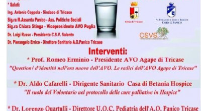 GIORNATA NAZIONALE AVO ASSOCIAZIONE VOLONTARI OSPEDALIERI - GIOVEDI' 20 NOVEM...