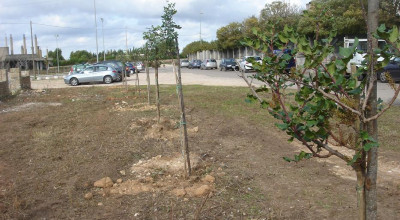 21 novembre 2010 - Piazzale antistante al Palazzetto dello Sport Gi...
