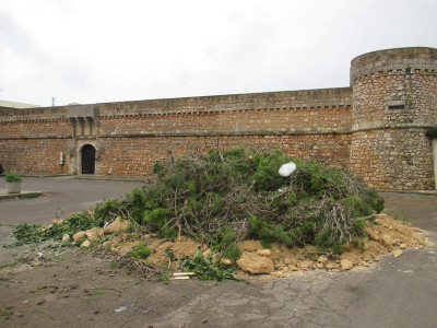 CAPRARICA DEL CAPO - GIOVEDI' 30 NOVEMBRE 2017 - FESTA IN ONORE DI SANT'ANDRE...