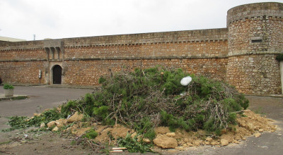 CAPRARICA DEL CAPO - GIOVEDI' 30 NOVEMBRE 2017 - FESTA IN ONORE DI SANT'ANDRE...