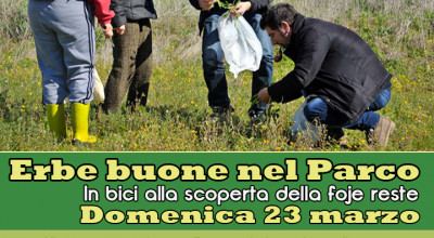 ERBE BUONE NEL PARCO. IN BICI ALLA SCOPERTA DELLE FOJE RESTE. DOMENICA 23 MAR...