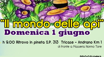 Domenica 1° giugno 2014 - Il Mondo delle api (evento promosso...