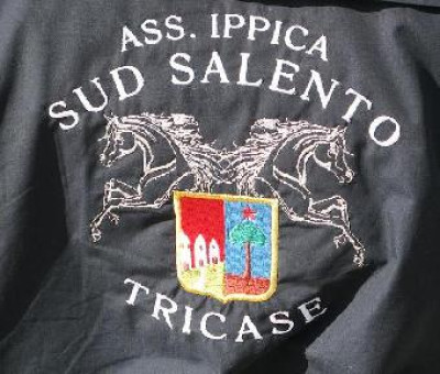 Logo dell'Associazione Ippica Sud Salento Tricase