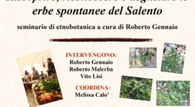 LUCUGNANO - SABATO 12 APRILE 2014 ORE 19 - PALAZZO COMI - INCONTRO DIBATTITO ...