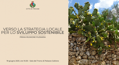 Strategia locale per lo sviluppo sostenibile della Città di Tricase - ...