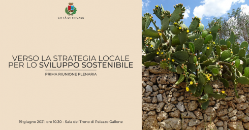 Strategia locale per lo sviluppo sostenibile della Città di Tricase - ...