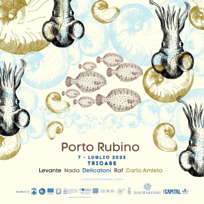 EVENTO PORTO RUBINO 2023 - Razionalizzazione mobilità urbana