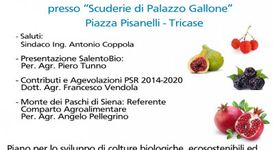 TRICASE - GIOVEDI' 25 FEBBRAIO 2016 - ORE 17.00 - SCUDERIE DI PALAZZO GALLONE...