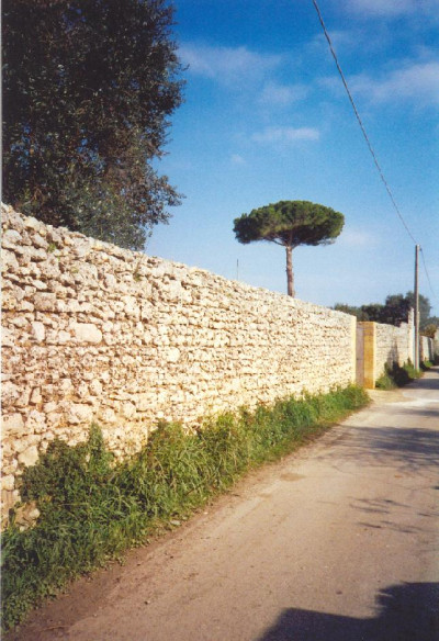 Tricase - Via Madonna del Loreto - Vecchio muretto a secco. Tricase - Via Madonna del Loreto - Vecchio muretto a secco.